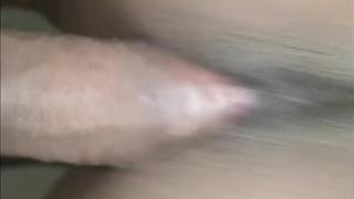 Horny Qurantine Dick in Creamy Mature pussy compilation.