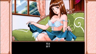 [PC98]インモラルスタディ シナリオ1 白川玲子