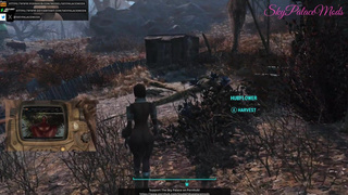 Fallout 4 - Alone Time