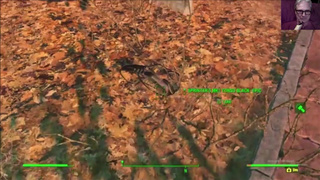 Anal and Vaginal Zombie Apocalypse Radio Active Multiple OrgasmFallout 4 Sex Mod
