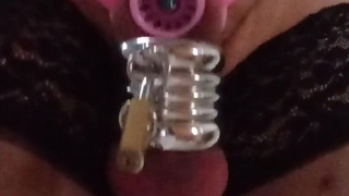 new chastity fish basket with metal rings and plug in urethra