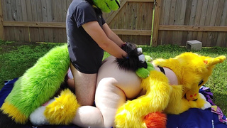 Furry backyard Sex