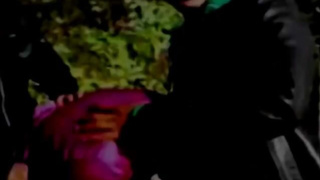 Schweiz-türkische Hijab-Könige