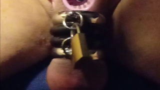 Reverse chastity belt rings lock and blue penis plug in piss hole