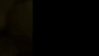 Vår första amatörsvenska hundstil