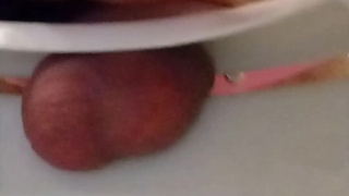 new negative chastity toilet bowl balls squeeze and thrust