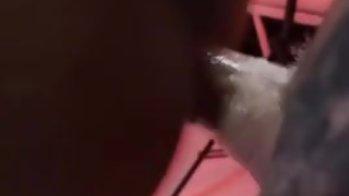 Grabbing daddy by the cock in the sex swing and making him cum all over