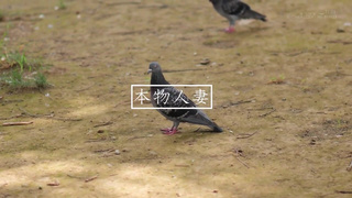 SDNM-502 “I love to be useful to others” She works as a