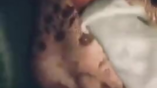 Amateur redhead pawg gangbang fuckedat adult theater while boyfriend record