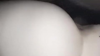 New bull stretches my pussy for Daddy!