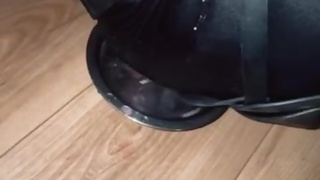 Séance dom. Dogtraining