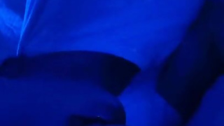 Asa Akira - OnlyFans #102