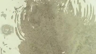 Lilly Lit - @lillillylitxxx - OnlyFans no.029