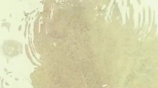 Lilly Lit - @lillillylitxxx - OnlyFans no.030