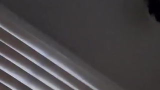 Ashley Barbie - Onlyfans#1