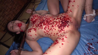 ZRK-001 Lewd Beast Woman Bound and Killed by Belly Punching - Internal Organ Discipline Edition Wakana Asagiri