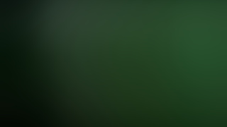 Skank T-girls traps suck and get fucked by clients