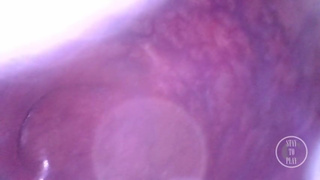 Travel inside my huge Ass Cave - Preview