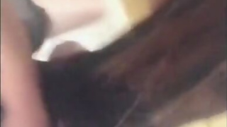 Two ladyboys with hairy cocks and 1 transvestite threesome hardcore blowjobs sex