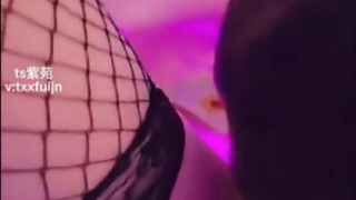 Strip Ladyboy Poker in Thailand the winner takes it all cock and ass