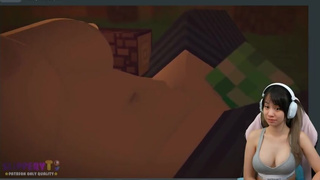 This is why I stopped playing Minecraft ... 3 Minecraft Jenny Sex Animations