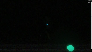 In Heat [MonsterBox] FNAF porn parody part 23 | no appliance repair