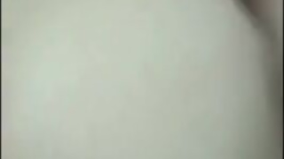 Good cocksucker trans prostitutes giving it all for money