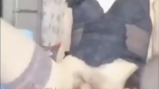 Mature Asian Ladyboy getting fucked in the ass in different positions