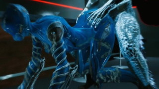 skyrim warframe mag porn