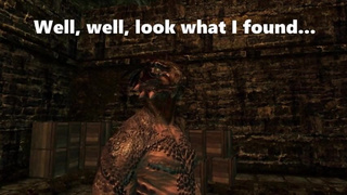 Princess Andrea Gets Ganged Banged By Argonian Lizard Men A Skyrim Story