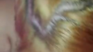 A Blowjob A Day Keeps the Blue balls Away