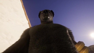 The third is not superfluous | Furry | Wild life | FPOV