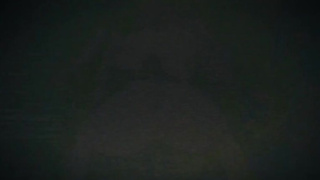 Genshin Impact Crazy Sex Movie Video!