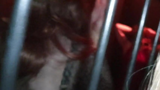 Mike fucking TGirl Gigi and April in the cage at SheWorld