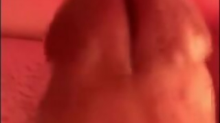 Tsverochka chaturbate march,11,2023