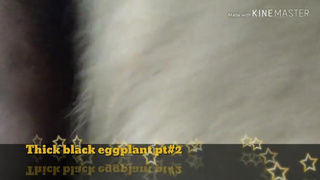 THICK BLACK EGG PLANT RETURNS