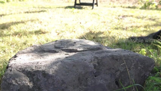 I Don't Care About Apples