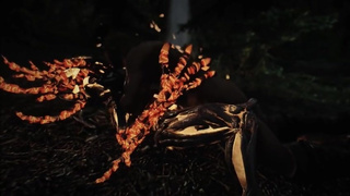 skyrim Female monster Spriggan Matron porn