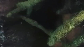 Teen Thug first time with Tranny