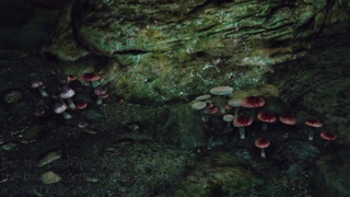 skyrim Beautiful and kind elf princess part1