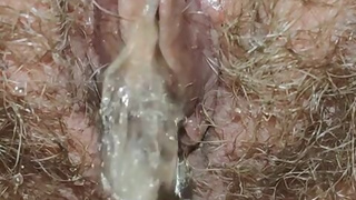 The best close up of peeing hairy pussy