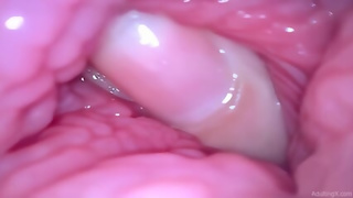 AdultingX - Lost Inside Me