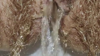 Super hairy pussy pissing hissy with slightly anal farting