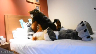Murrsuit Wild Sex - Pilot Video - Maho & Xytan