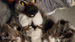 Furry Hyena girl gets fucked hard in fursuit Onlyfans preview