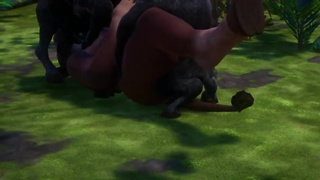 Furry gangbang | wild life | 2