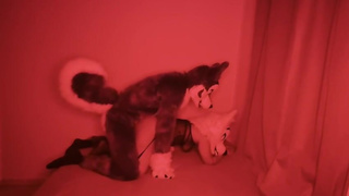 Fucking my horny furry girlfriend ????