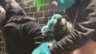 Teenage Furries Almost Caught Fucking in Restaurant Bathroom Stifled Moans