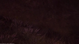 Horny Pokemon Girl Meowscarda want you to cum