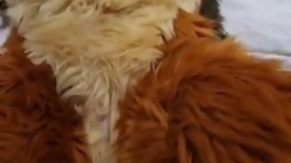 Fucking My Little Pussy - Maho & Xytan